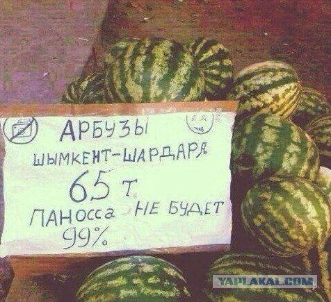 строумные Шымкентцы (3)